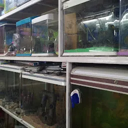 Modern Fish Aquarium