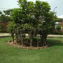 Modi Park