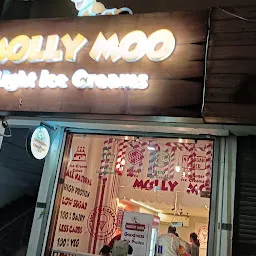 Molly moo Ice cream