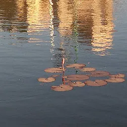 Moovarasampet pond walking track