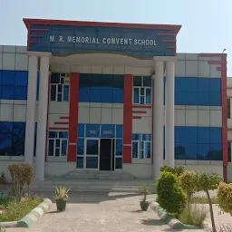 Mother Teresa Convent School