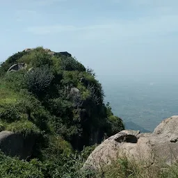 Mount Abu Safari