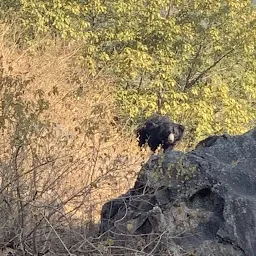 Mount Abu Treks