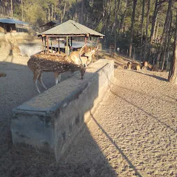 Mrig Vihar Zoo (Baldhauti)