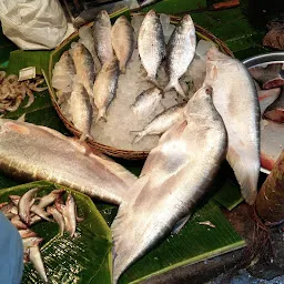 Muchibazar Fish Market