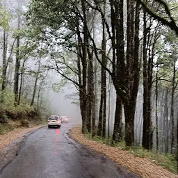 Mukteshwar view point