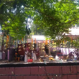 Mulamoottil Shree Bhadra Devi Temple