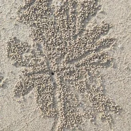 Mullakkadu Beach