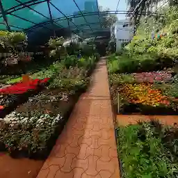 Municipality Nursery