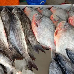 മുനമ്പം പച്ചമീൻ - Fish store