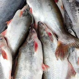 മുനമ്പം പച്ചമീൻ - Fish store