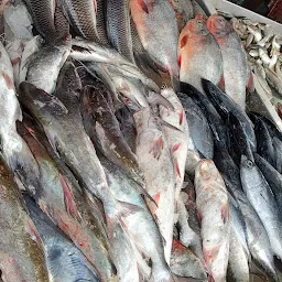 മുനമ്പം പച്ചമീൻ - Fish store