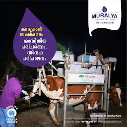 Muralya Dairy Products Pvt Ltd - Kollam