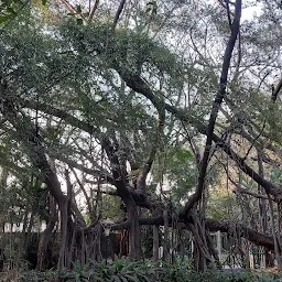 Muredha Nala Park