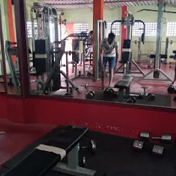 Muscleline Gym