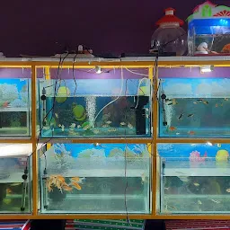 MY PET SHOP