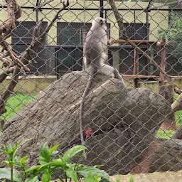 Mysuru Zoo