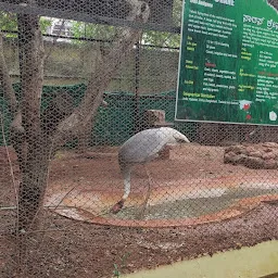 Mysuru Zoo