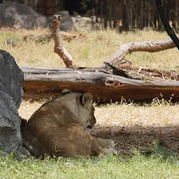 Mysore Zoo