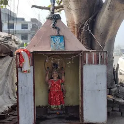 Naag Mata Mandir