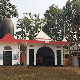 Nabajyoti Nagar Shiv Mandir
