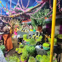 Nagadevata Temple