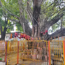 Nagamaiah Temple