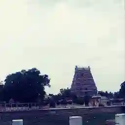 Nageswaran Temple