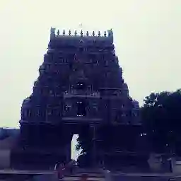 Nageswaran Temple