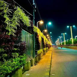 Nagole Musi Bridge