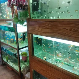 Naini Aquarium Shop