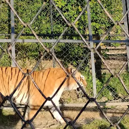 Nainital Zoo Ticket Counter