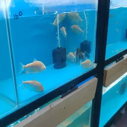 Nakshathra Aquariums and Pets Shop