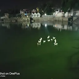 Nalagarh's Pond