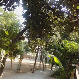 Namo Narayan Park