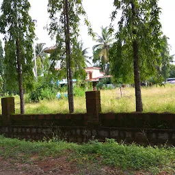 Doddangudde Netaji Nandanvan Park
