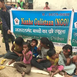 Nanhegulistaan NGO