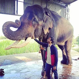 Naniyala Elephant Camp