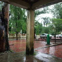 Narmada College Garden