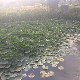 Naroda Lake