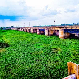 Narsinghpur Dam Morena