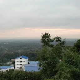National Institute of Technology Nagaland