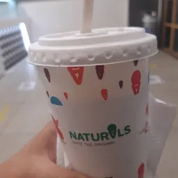 Natural Ice Cream Parlour