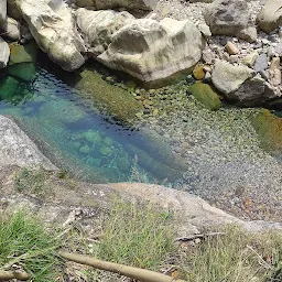 Natural Swimming Pool