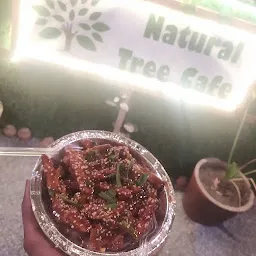 Natural Tree Cafe