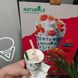 Natural Ice Cream