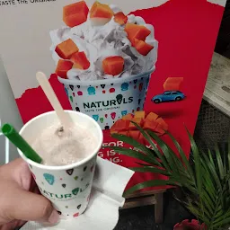 Natural Ice Cream