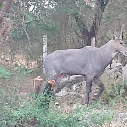 Nature Education Park