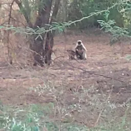 Nature Education Park