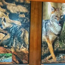 Nature Interpretation Center Dumna Nature Reserve